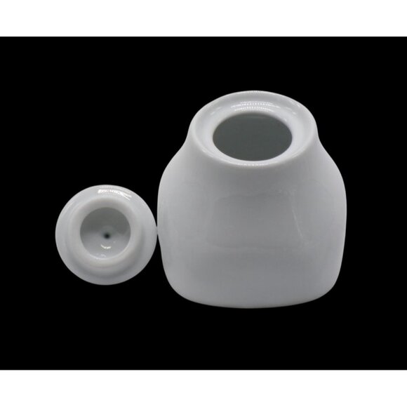 Pier 1 Imports Luminous White Porcelain Creamer & Sugar Bowl Set VGC - Picture 7 of 8